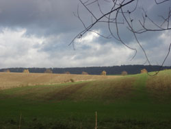Sturm